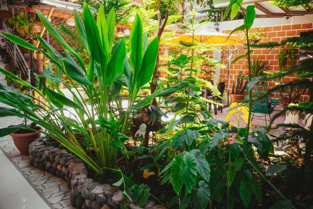 Villa Loretana Yurimaguas エクステリア 写真